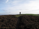 SX20975 Wouko on Moel Arthur hillfort.jpg